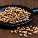 Makro tápanyagok megértése: a teljesítmény növelése diétával