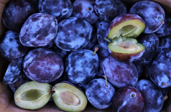 Fogyás Szilvával: Egyszerű Tippek az Egészséges Diétához