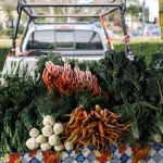 Photo Fresh vegetables