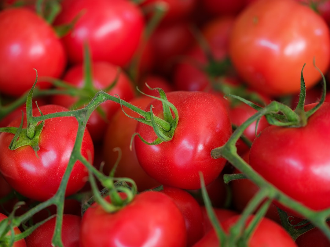 Photo Nutrient deficiencies