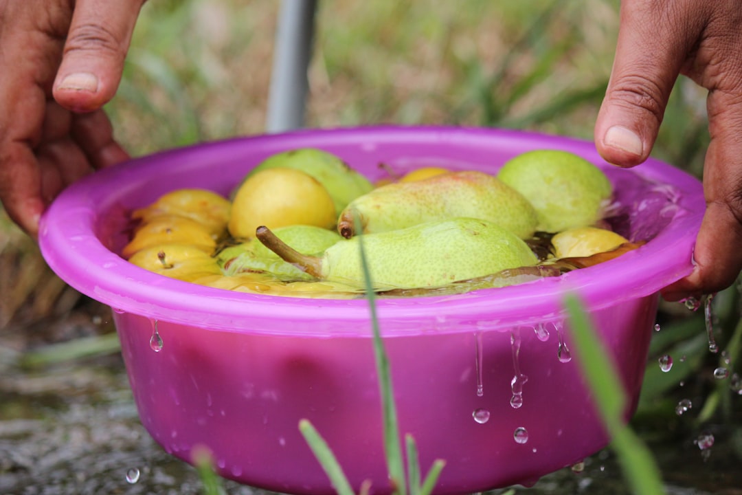 Photo Fruits and vegetables