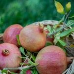 Photo Fruits and vegetables