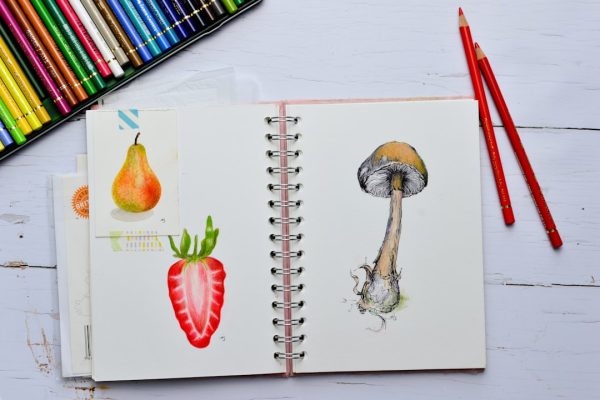 Photo Food diary