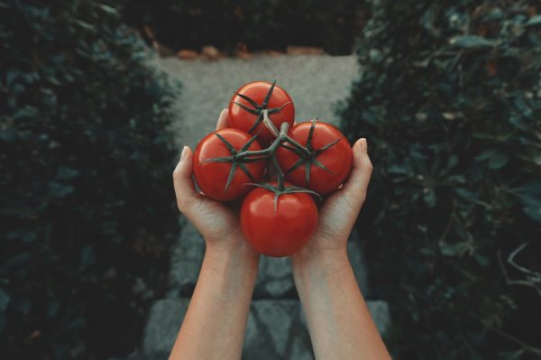 Photo Low GI foods