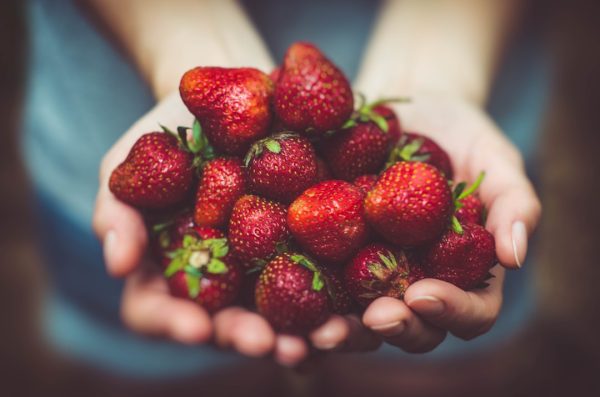 Photo Low FODMAP food