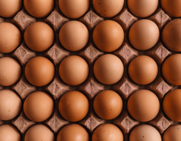 Photo Protein-rich foods