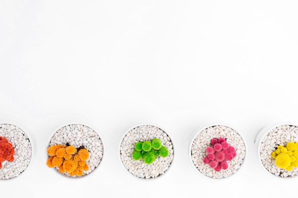 Photo Colorful vegetables