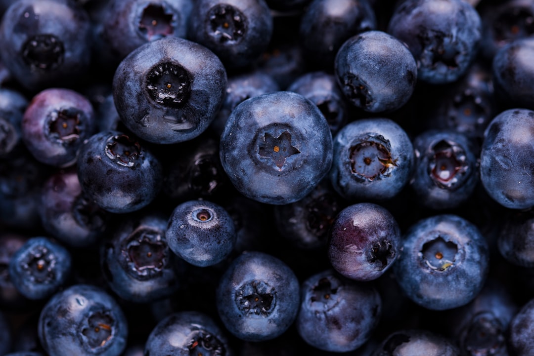 Photo Food journal