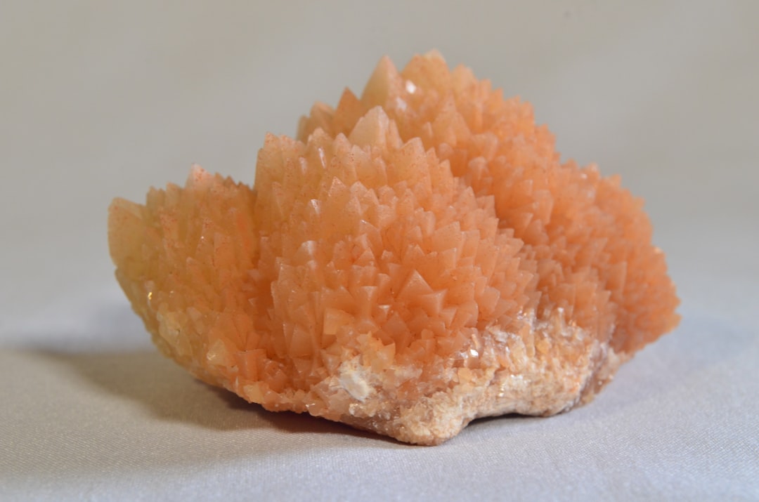 Photo Mineral-rich foods